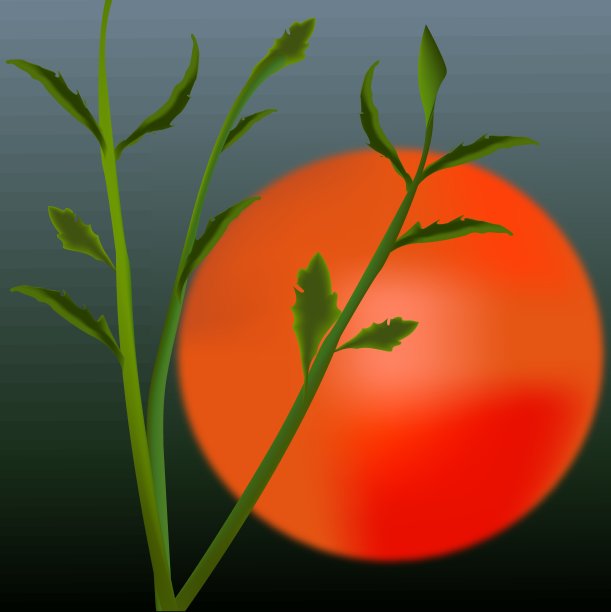 夕阳天空金色的太阳图片下载