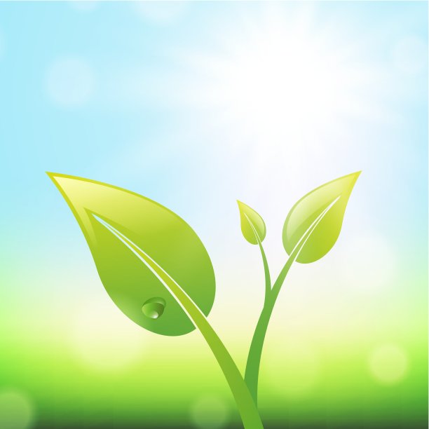 绿色的萌芽图片下载