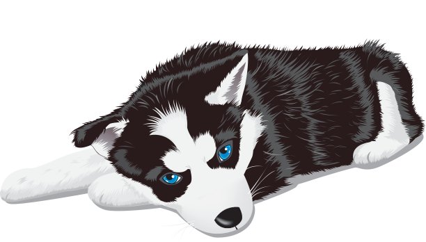 矢量插图的卡通狗图片下载