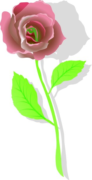 红玫瑰,向量图片下载