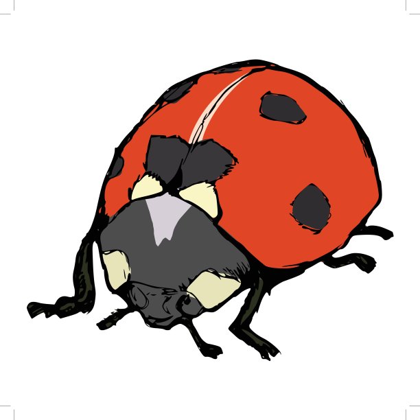 瓢虫图片下载