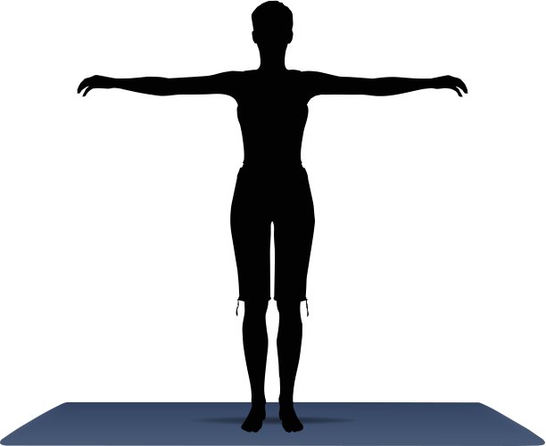 在默认姿势的瑜伽位置矢量插图图片下载