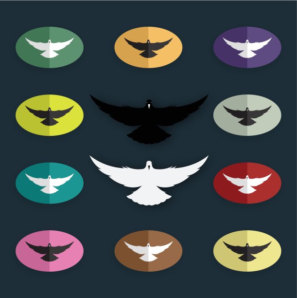 禽鸟病媒群(鸽子)图片下载