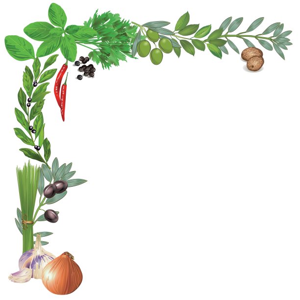 香草和香料图片下载
