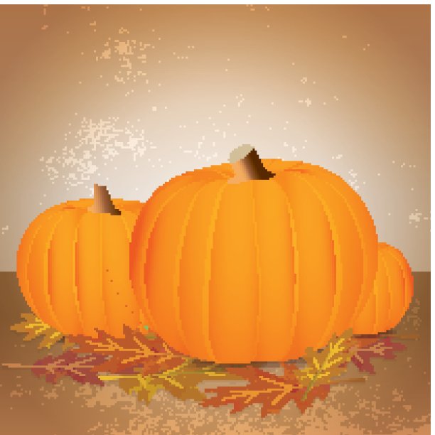 秋天的南瓜和叶子图片下载