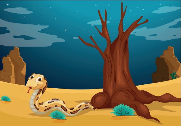 沙漠中的一条蛇图片下载