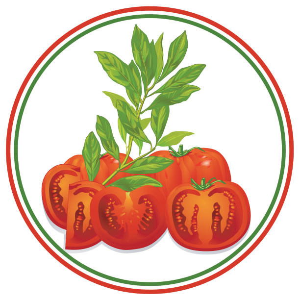 番茄和罗勒图片下载