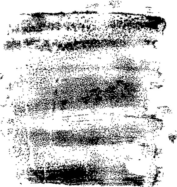 背景草图10图片下载