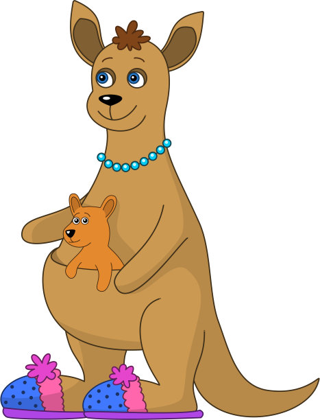 穿着拖鞋和婴儿的袋鼠图片下载