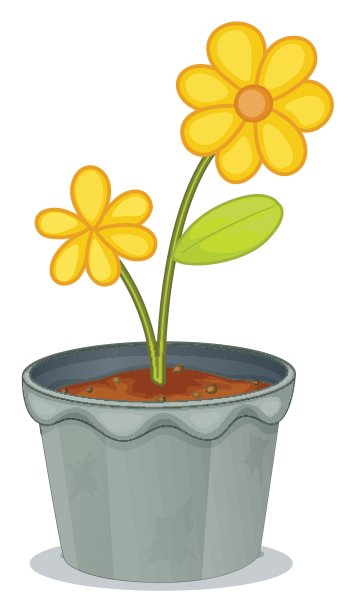 一个带花的灰色花盆图片下载