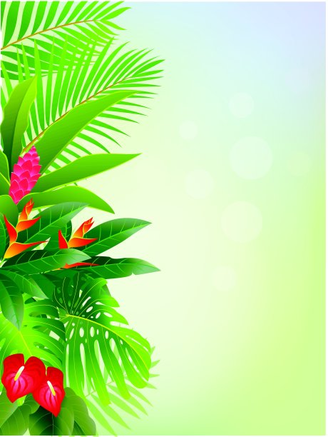 热带森林背景图片下载