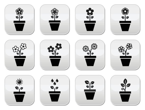 花，植物在花盆矢量图标设置图片下载