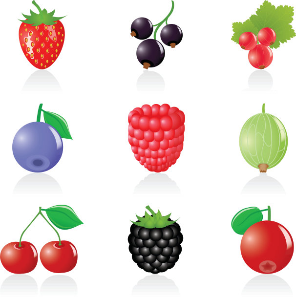图标设置浆果图片下载