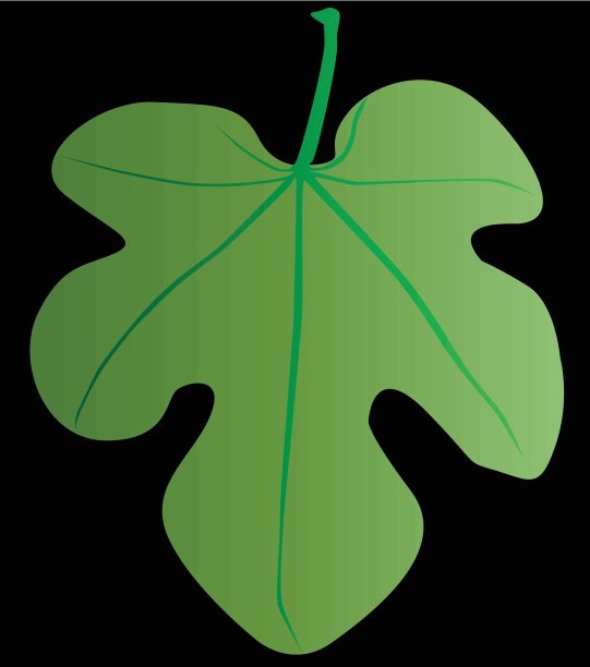 遮羞布图片下载