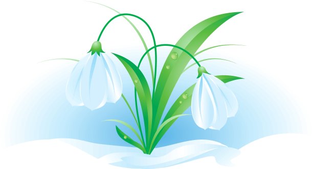 雪花莲图片下载