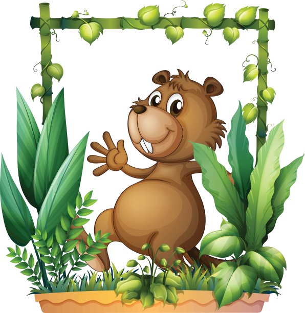 一个棕色的海狸图片下载