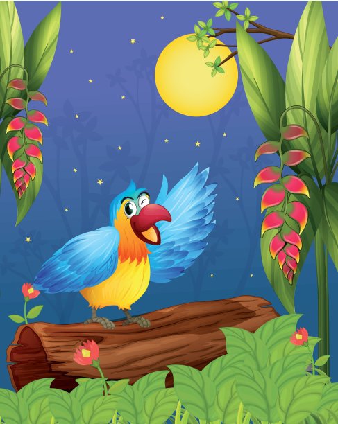 树林里的一只五颜六色的鹦鹉图片下载