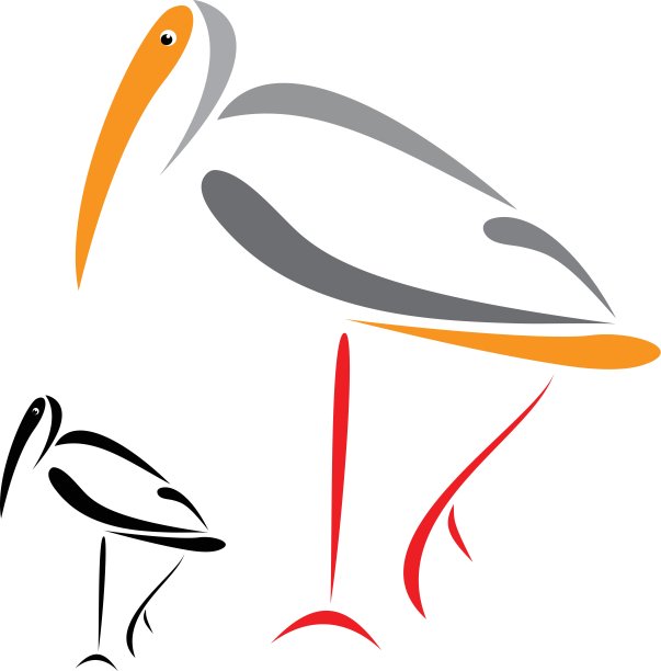 火烈鸟图片下载