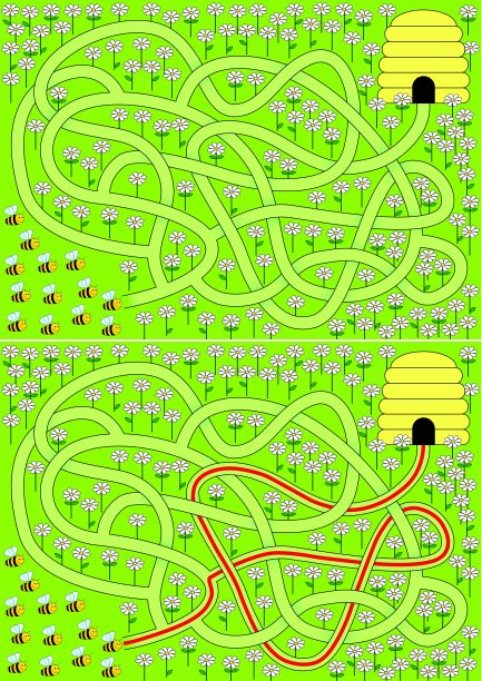 蜜蜂迷宫图片下载