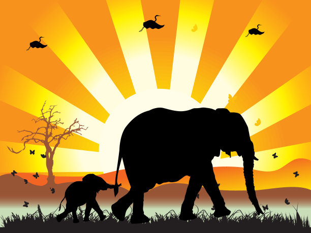 在大自然中散步的大象家族图片下载