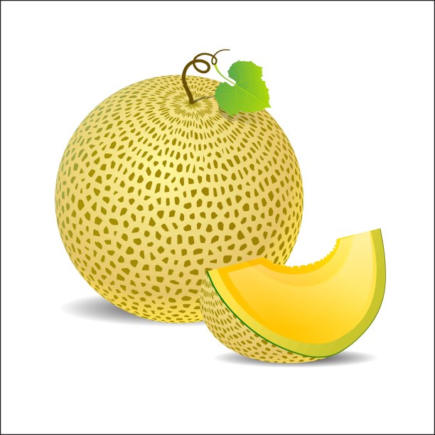 熟透的黄瓜一片才好图片下载