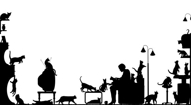 猫的房间图片下载