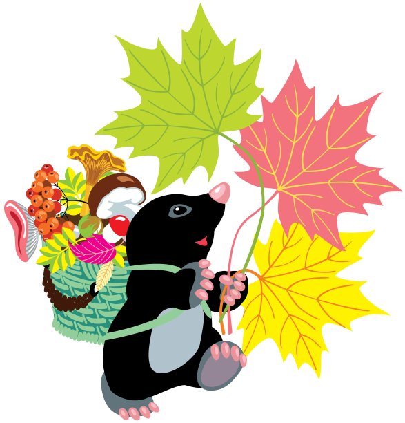 摩尔收集蘑菇图片下载