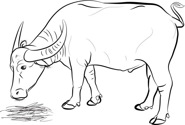 水牛吃hay-vector图片下载