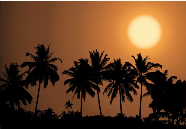 热带日落，棕榈树的剪影图片下载