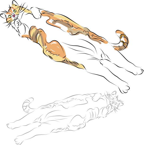 肥猫躺下图片下载