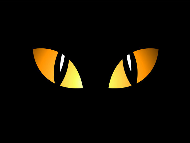 夜晚的眼睛图片下载