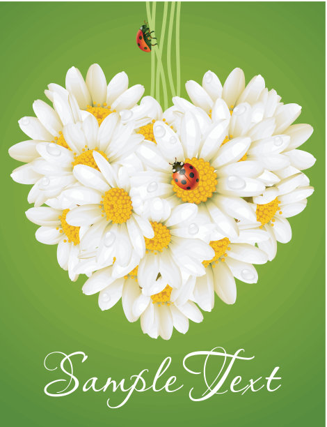 鲜花爱情卡片(甘菊心)图片下载