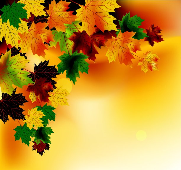 秋叶背景图片下载