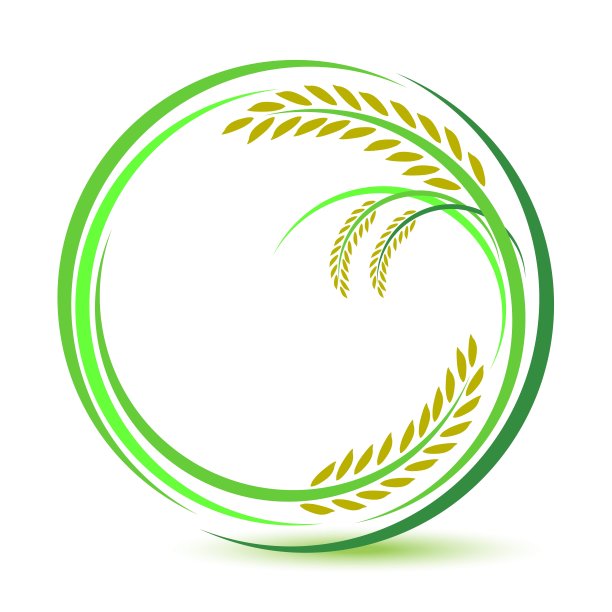 白色背景上的大米图案图片下载