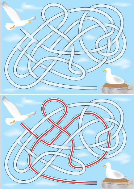 海鸥迷宫图片下载