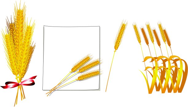 小麦束载体图片下载
