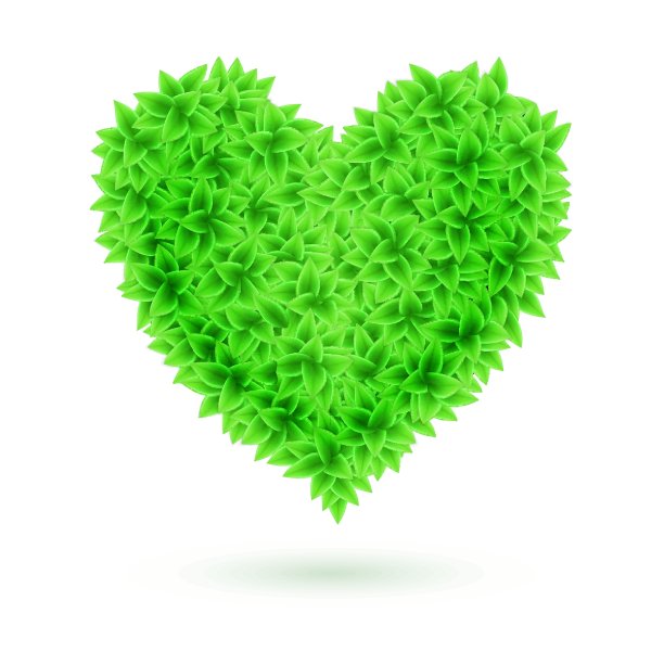 Eco的心。图片下载