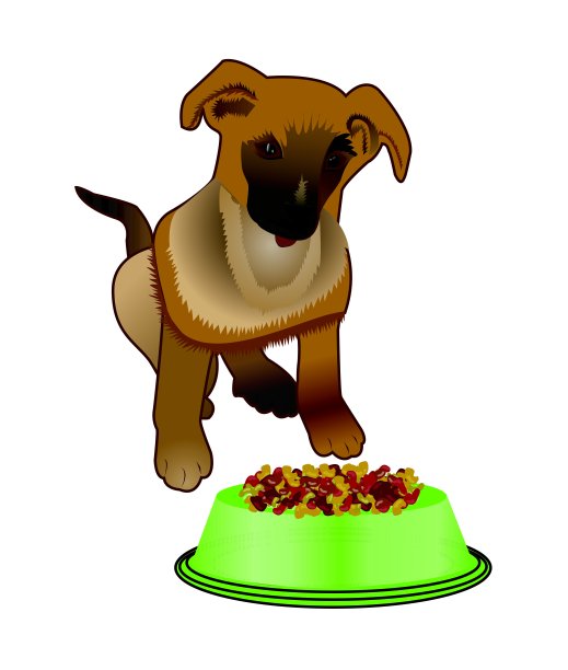 狗靠近有食物的碗图片下载