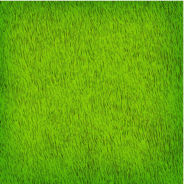 绿草纹理矢量背景eps 10。图片下载