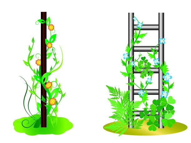 矢量插图-垂直植物与花图片下载