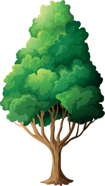 一棵高大的老树图片下载