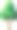一棵高大的老树图片下载