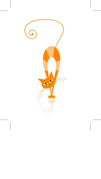 优雅的橙色条纹猫为您的设计图片下载