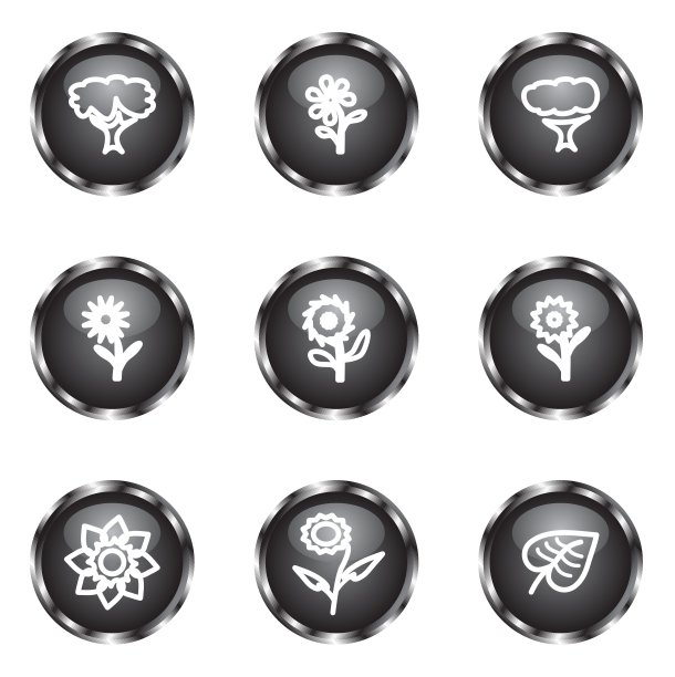 光滑的图标集图片下载