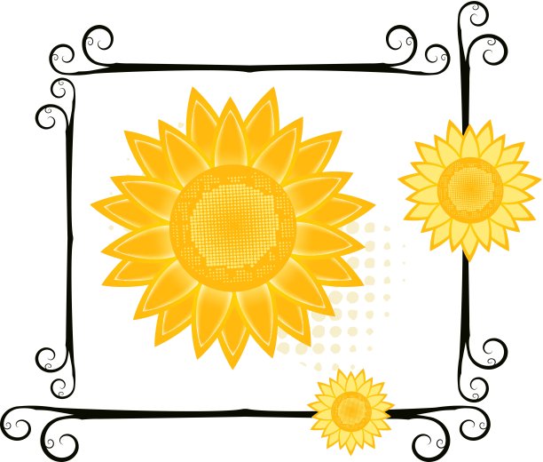 向量的花图片下载