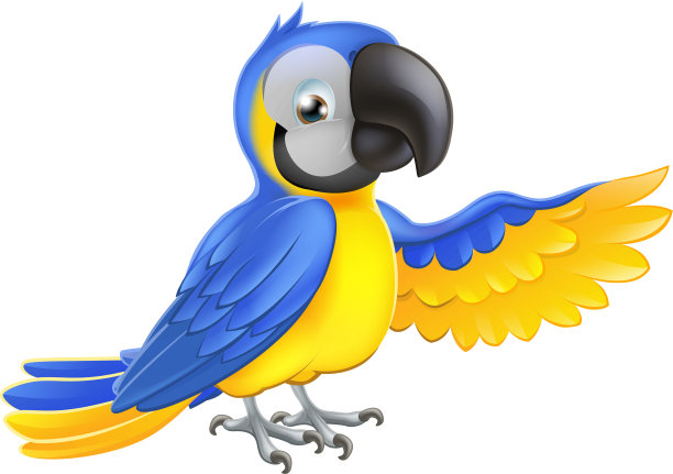 可爱的蓝色和黄色鹦鹉图片下载