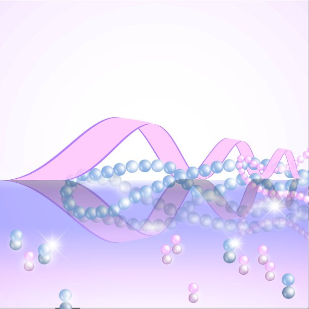 珍珠装饰图片下载