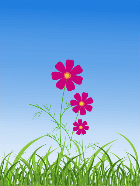 宇宙的花图片下载