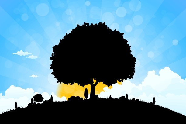 景观树图片下载