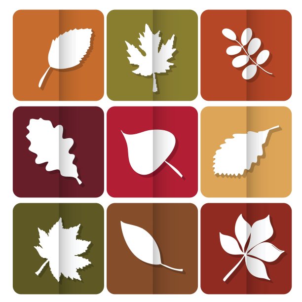秋叶图标。森林树木的叶子有红色、黄色和绿色。用于网页设计的按钮图片下载